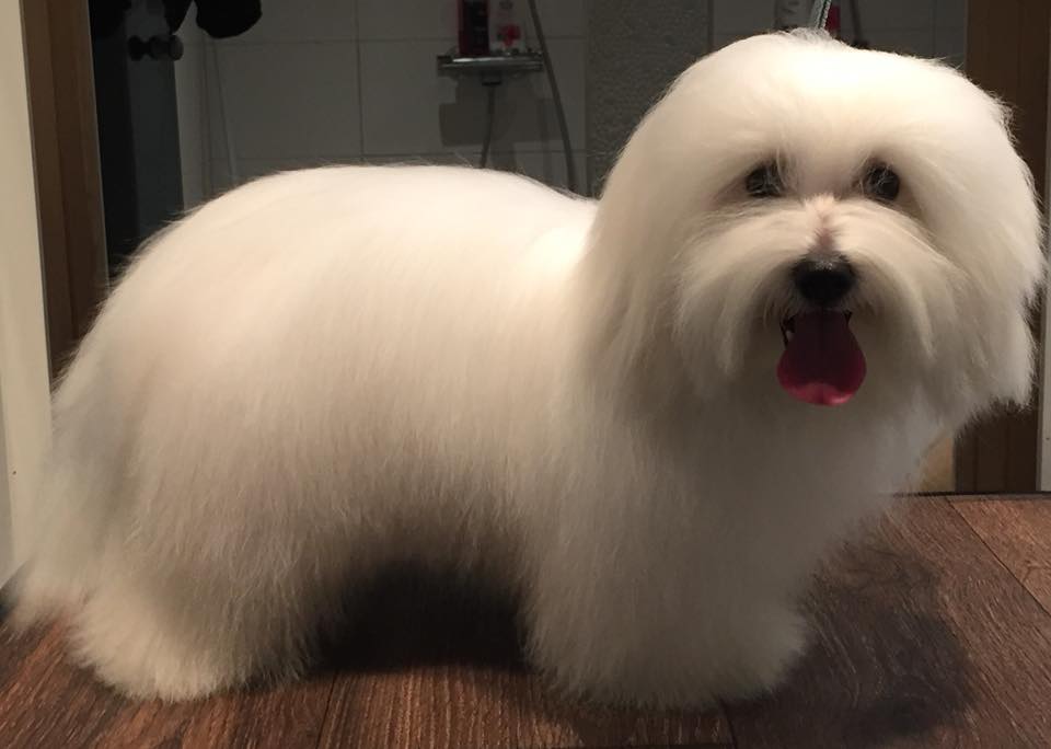 CHANCEUX LOUISA LAVERNIA