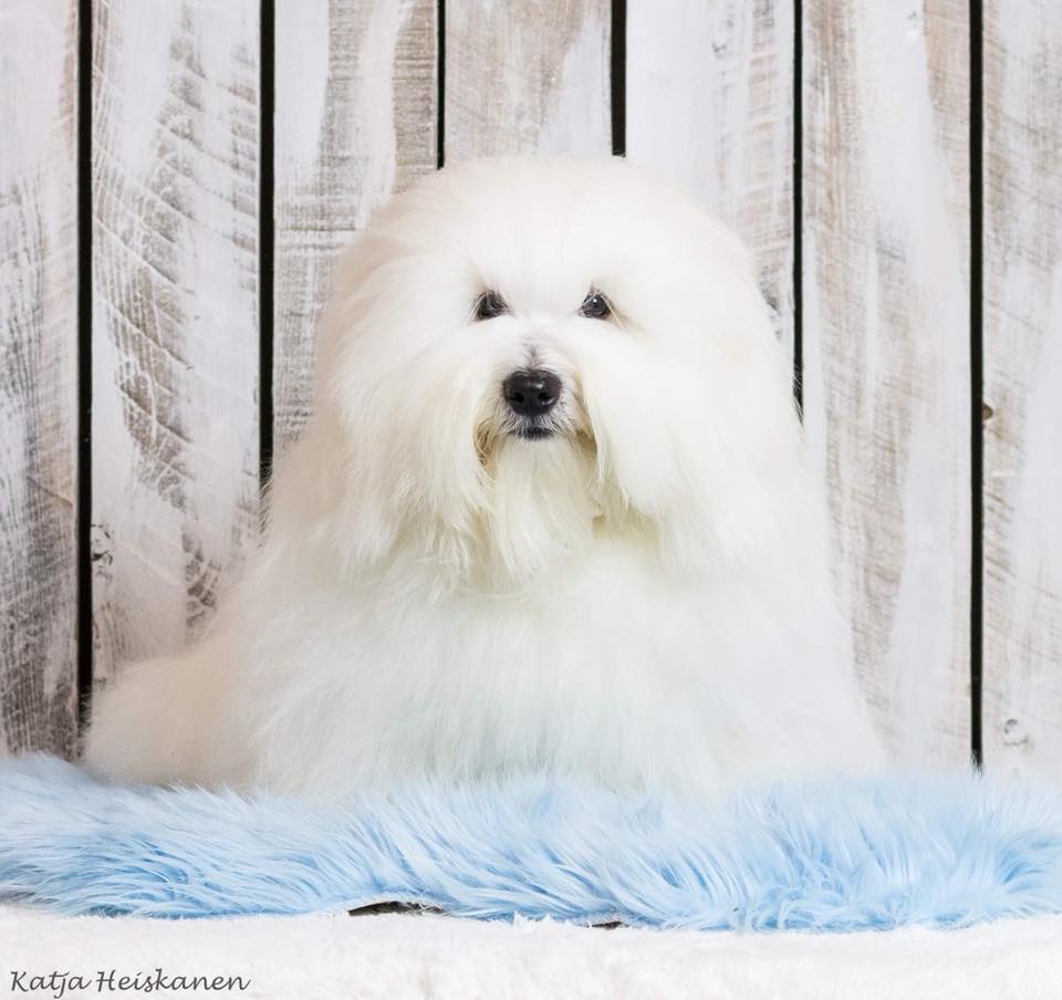 CHANCEUX LOUIS LEANDRE