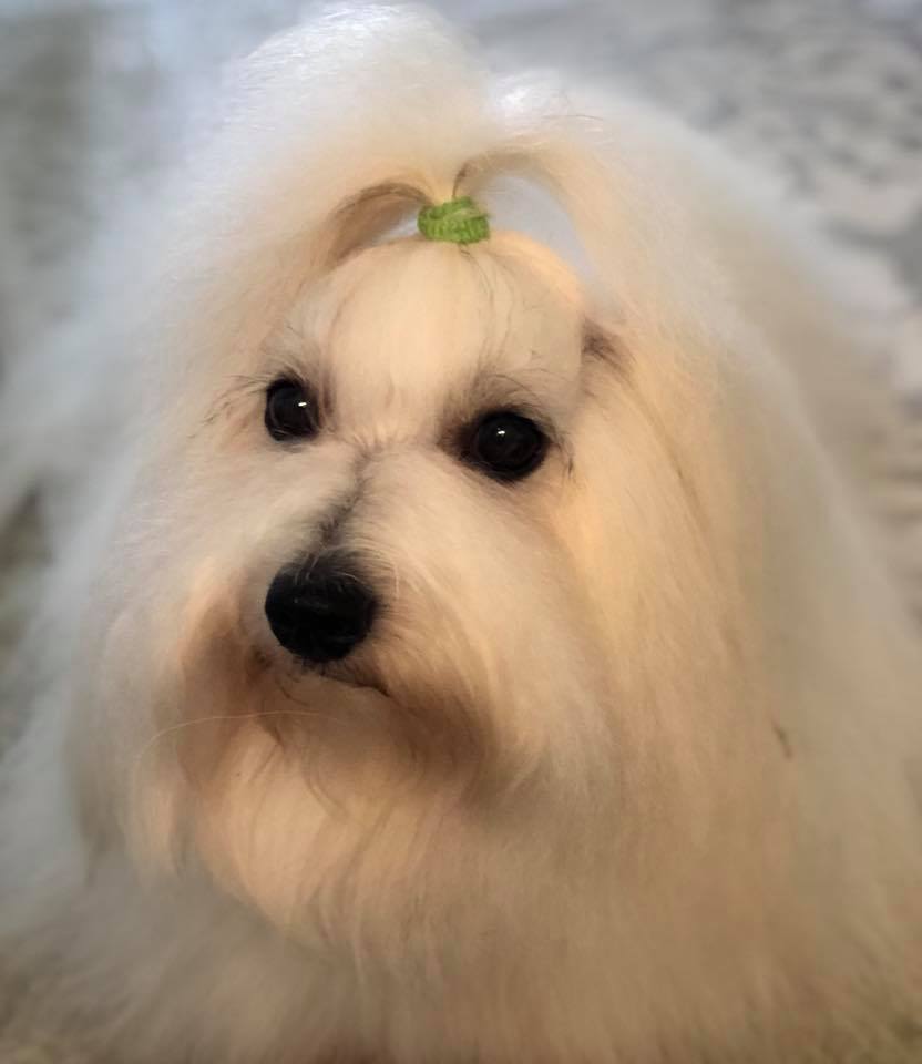 CHANCEUX JE T'AIME JOLI COEUR