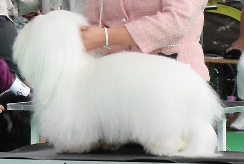 CHANCEUX LOUIS LEANDRE