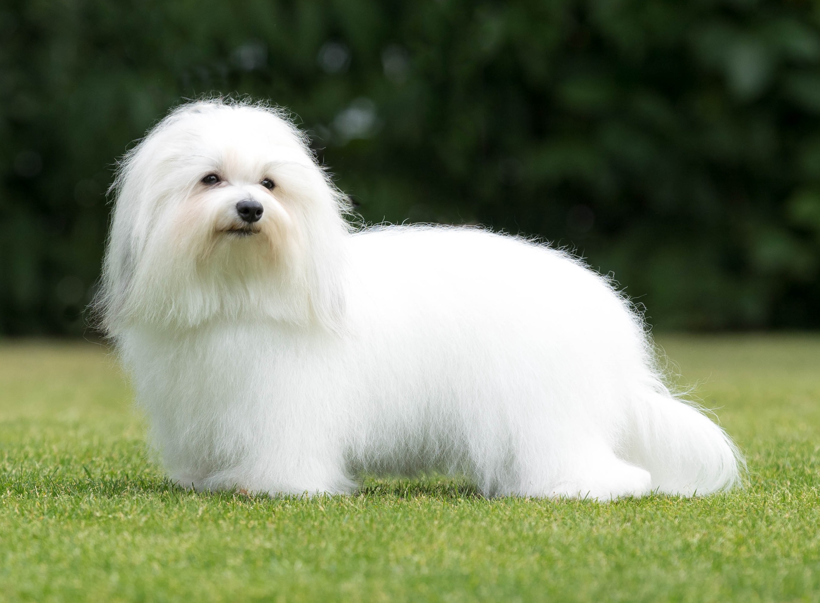 pic taken by MilladePhoto