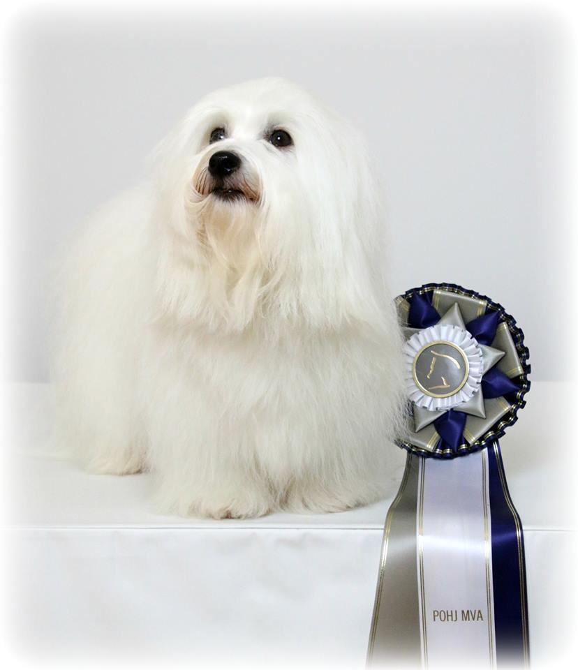 CHANCEUX CHERE DIVINE